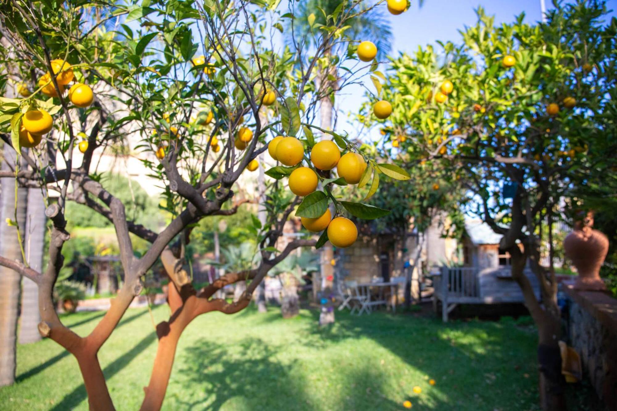 Villa Caterina - Solemar Sicilia เชฟาลู ภายนอก รูปภาพ